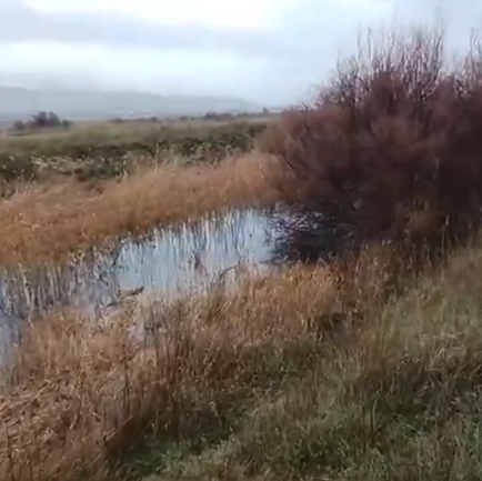 El río Gigüela llevando agua a Las Tablas de Daimiel.